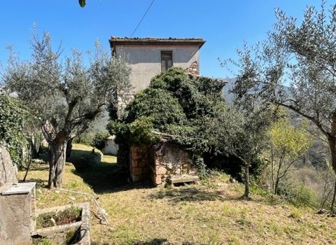 V 469 – Ferentino – Casale caratteristico