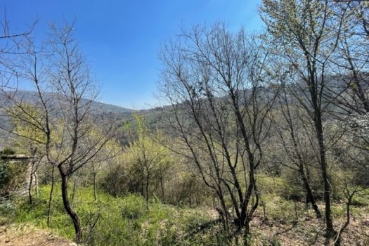 V 469 – Ferentino – Casale caratteristico