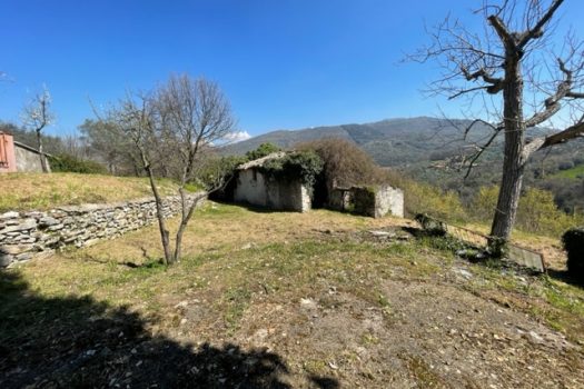 V 469 – Ferentino – Casale caratteristico