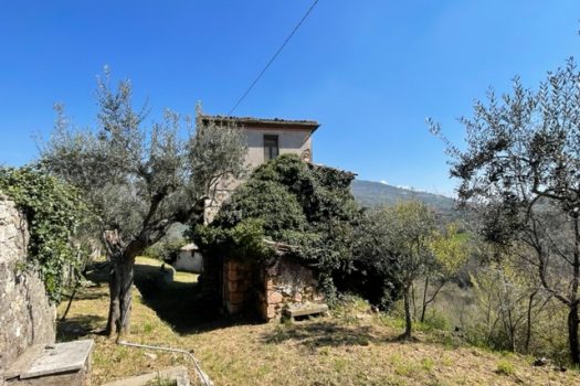 V 469 – Ferentino – Casale caratteristico