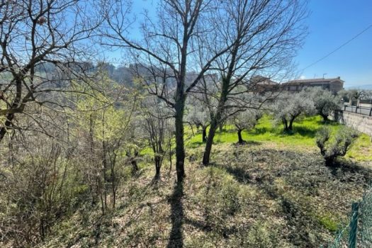 V 469 – Ferentino – Casale caratteristico