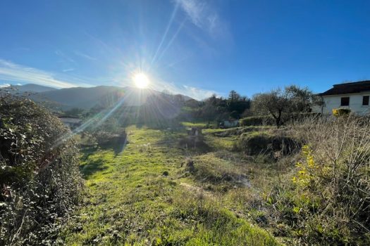 V 205 – Ferentino – Via Tofe