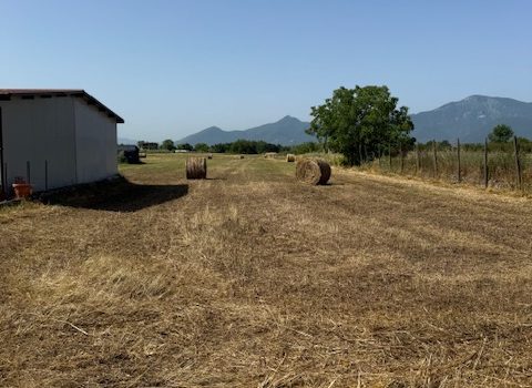 Ferentino – Via Casilina Sud
