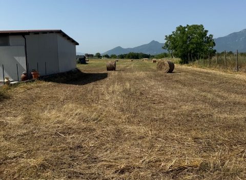 Ferentino – Via Casilina Sud