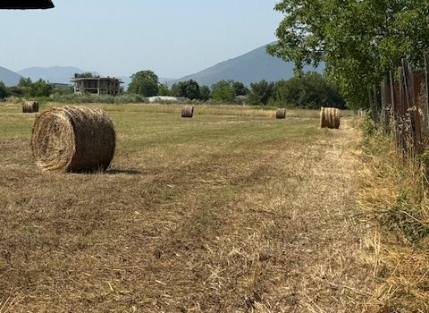 Ferentino – Via Casilina Sud