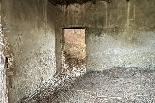 Ferentino – Torre Noverana