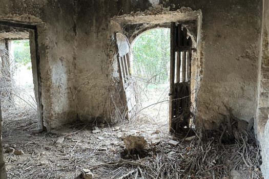 Ferentino – Torre Noverana