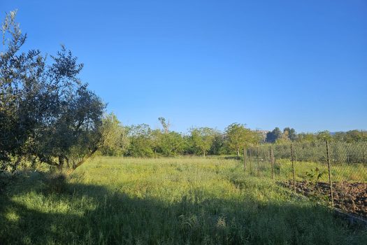 Ferentino – Via Bagni Roana