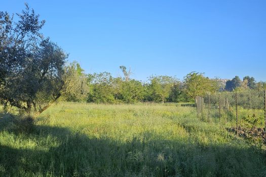 Ferentino – Via Bagni Roana