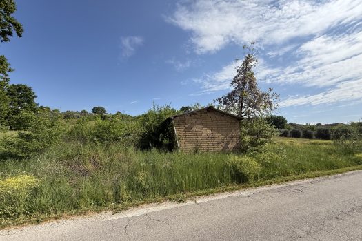 V569 Ferentino – Via Tofe