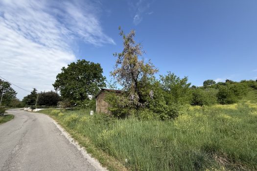 V569 Ferentino – Via Tofe