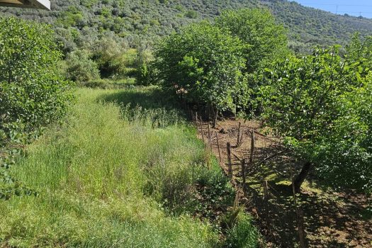 Ferentino – Via Stella Vado Rosso