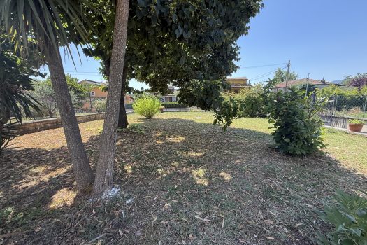 Ferentino – Via tofe