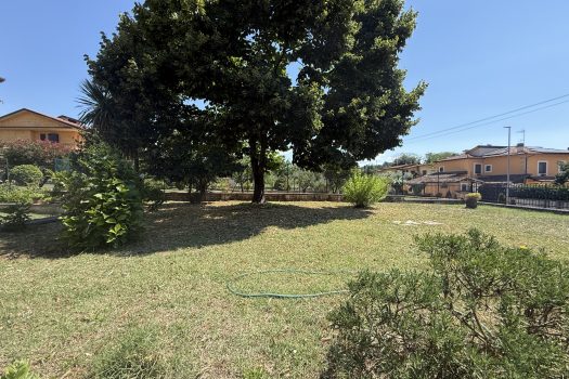 Ferentino – Via tofe