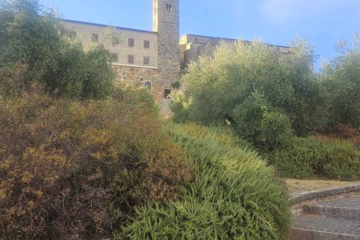 Ferentino – Via Consolare